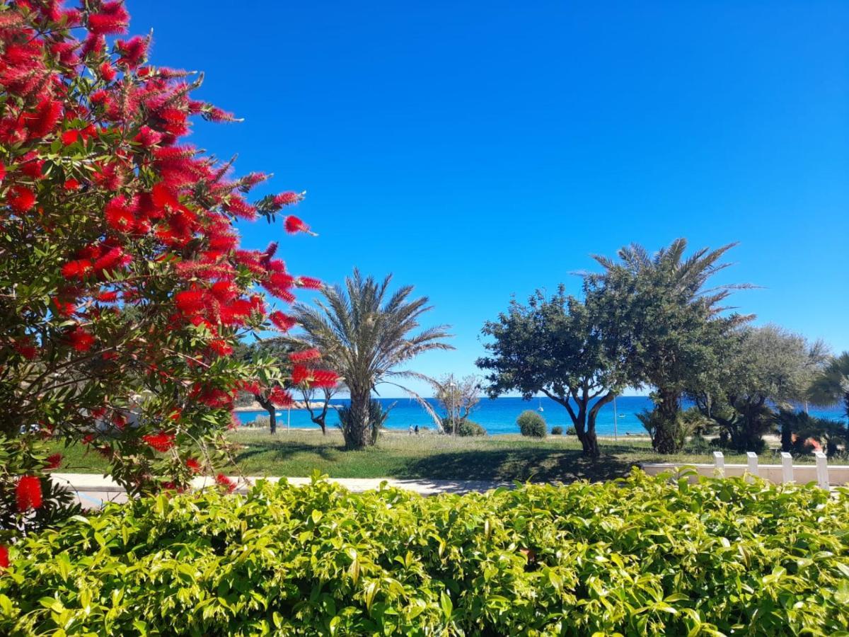 Villa Stella Fronte Mare Porto Frailis Àrbatax Extérieur photo